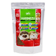 ひかり　ハリネズミ